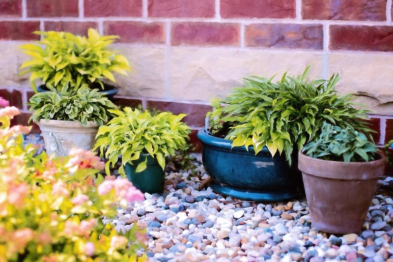 Vertical Garden